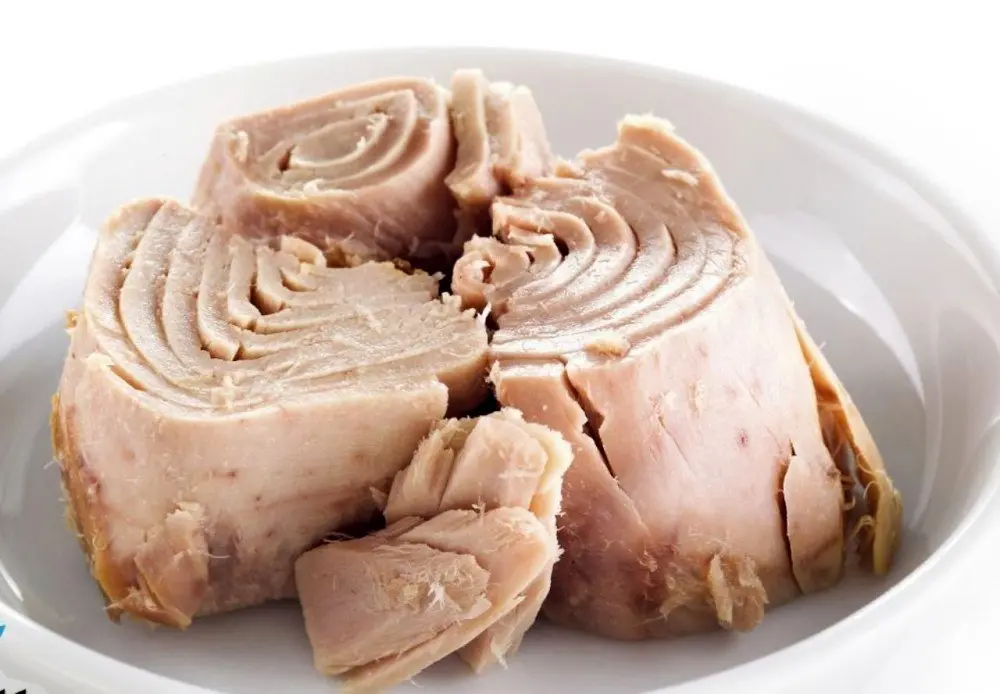 تن ماهی از سفره ایرانیان حذف شد