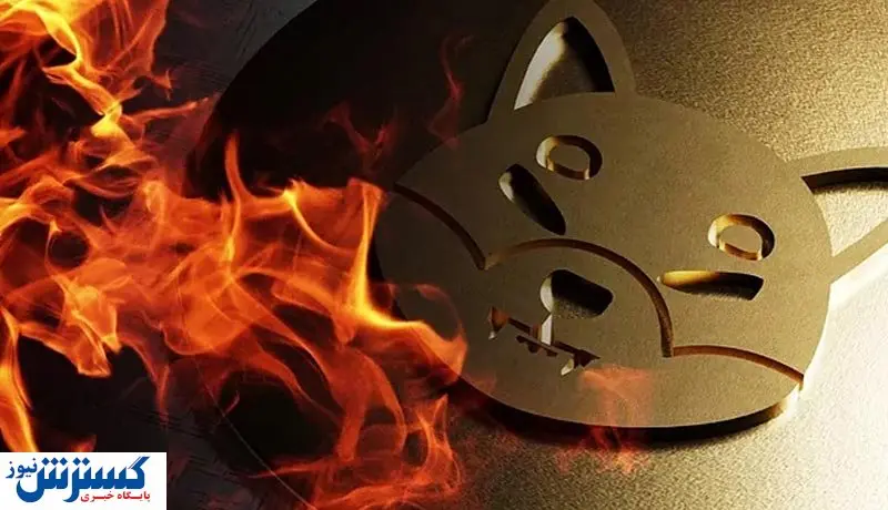 با خودسوزی شیبا قیمت پپه ریخت