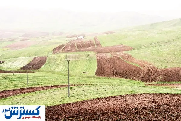 تامین امنیت غذایی با اصلاح الگوی کشت