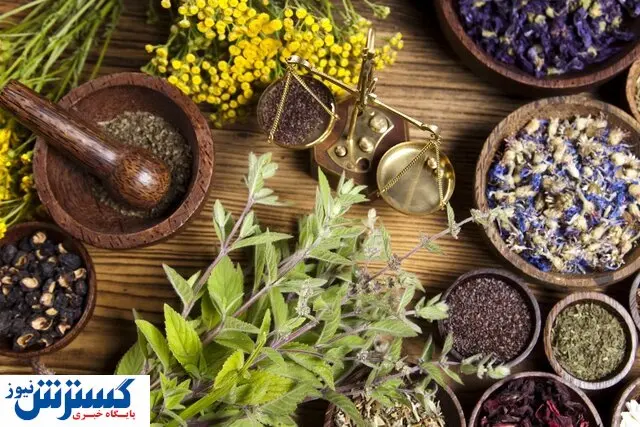 این داروهای گیاهی میلیونی به فروش می روند!
