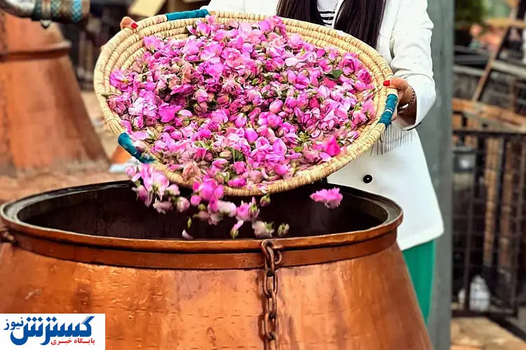 سفر یک روزه به بهشتی در دل کویر  / هزینه فقط ۸۵۰ هزار تومان