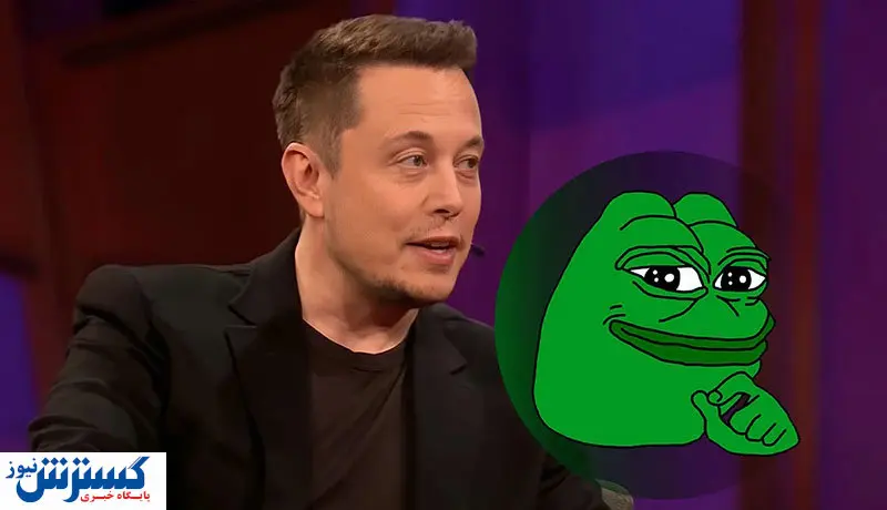 افزایش ۵۴ درصدی قیمت پپه بعد از توییت ماسک