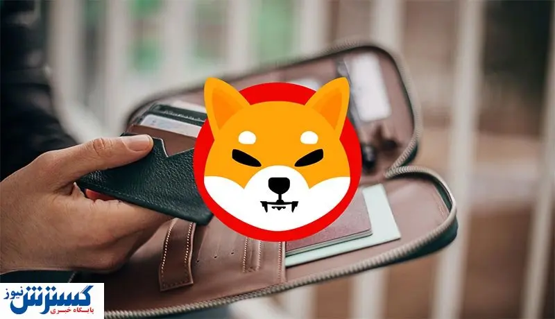 کیف پول سرد شیبا چیست؟