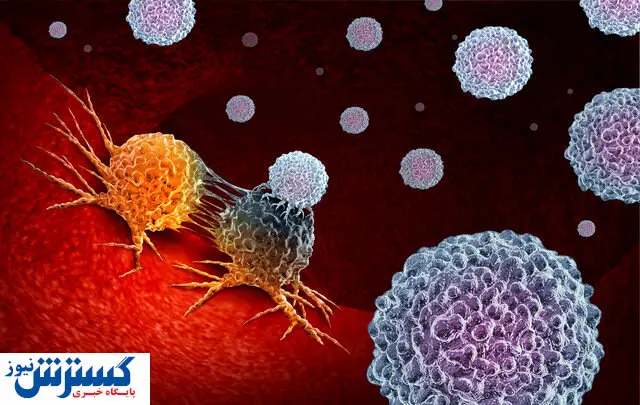 با خوردن این مواد غذایی از ابتلا به سرطان جلوگیری کنید