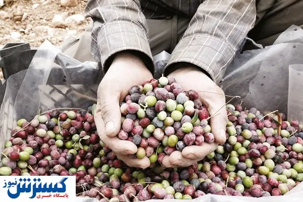 کیفیت فدای کمیت نشود