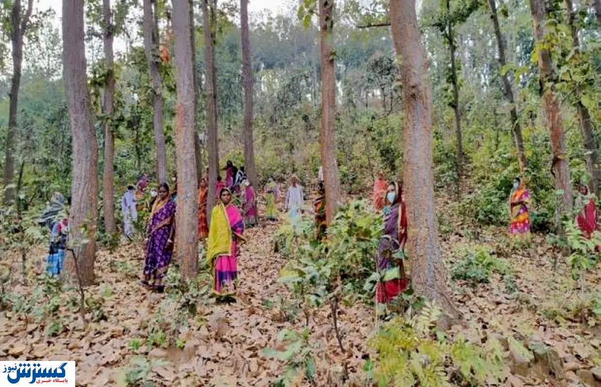 با الف‌های هندوستان آشنا شوید / این زنان نگهبان جنگل هستند