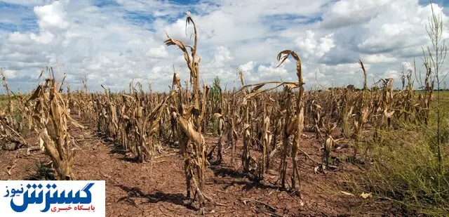 هشدار مهم سازمان ملل