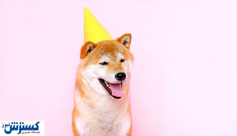 تولد شیبا با سوپرایز طرفداران همراه شد!