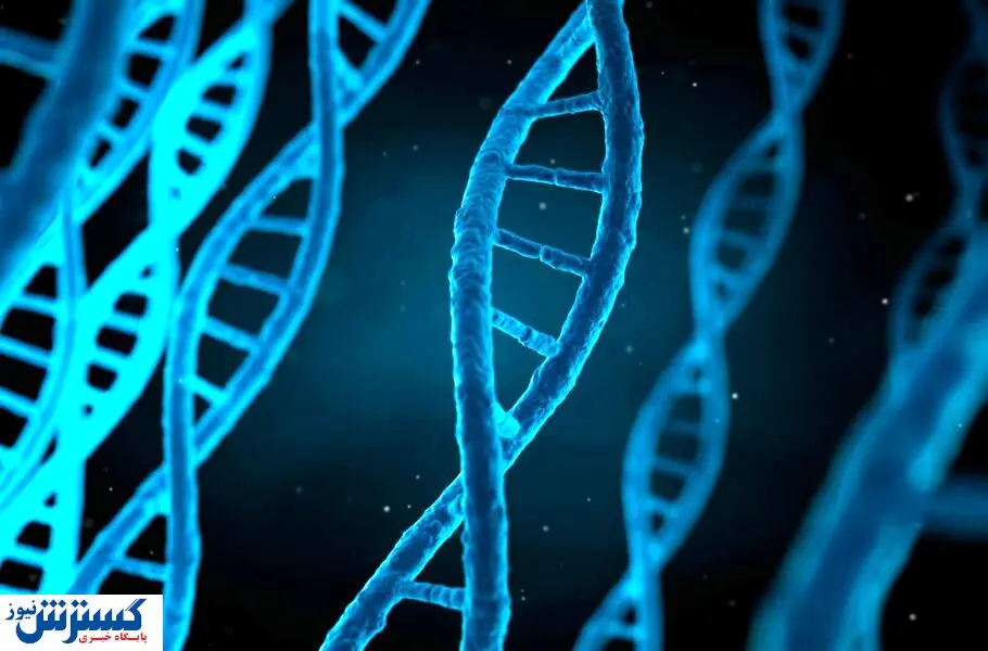 کشفی شگفت‌انگیز توسط دانشمندان / درمان دیابت با الکتریسیته