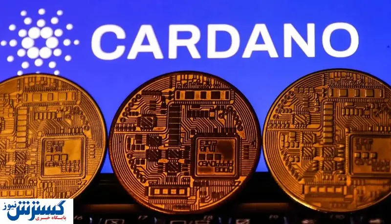 بررسی عملکرد کاردانو در سه ماهه دوم ۲۰۲۳ / افزایش قیمت در راه است؟