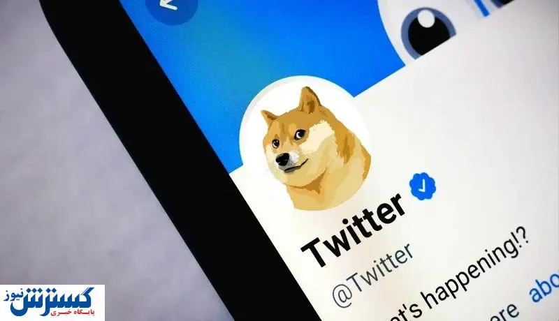 تاثیر تغییر لوگوی توییتر بر قیمت دوج کوین