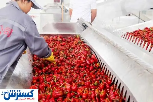 آنچه درباره خشک کن میوه ای جی باید بدانیم