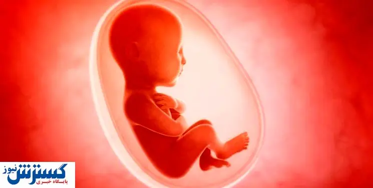 بررسی لایحه ساماندهی اهدای جنین