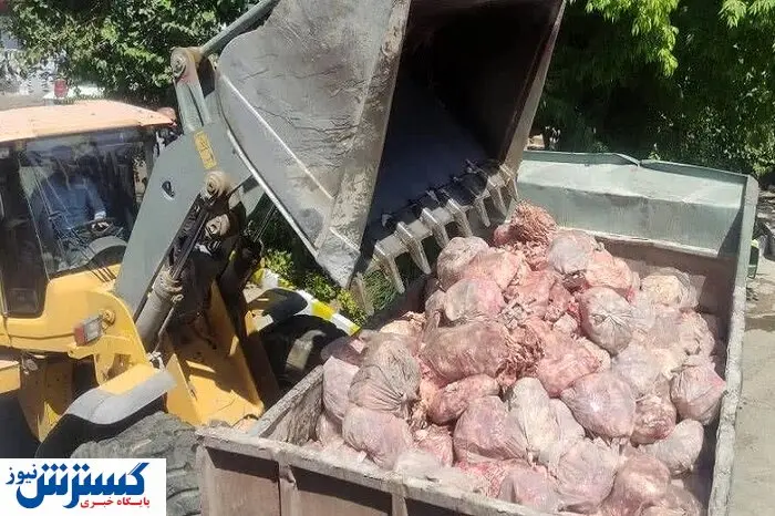 کشف ۳۲ تن ضایعات فاسد از کارخانه سوسیس و کالباس