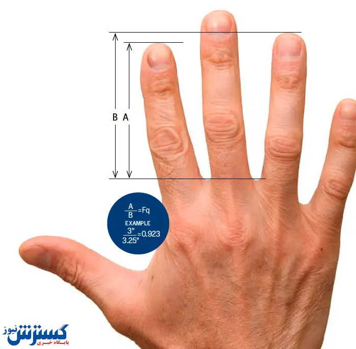 طول انگشتان شما چه چیز را نشان میدهد؟