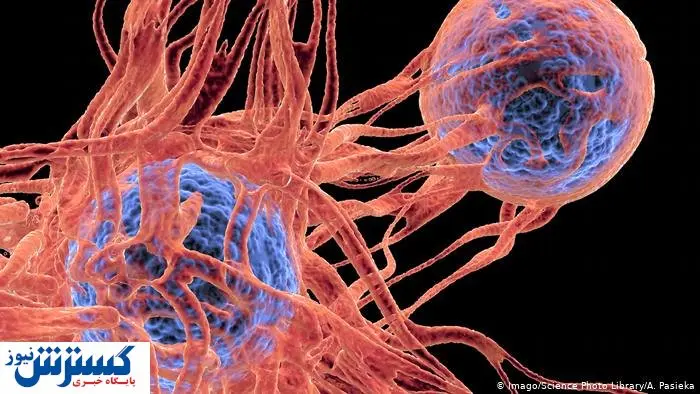 شروع غربالگری سرطان در این استان