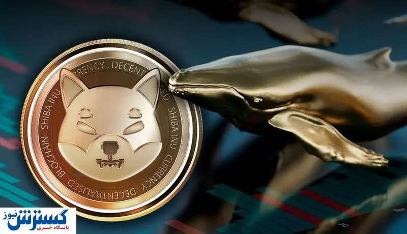 حمله نهنگها به شیبا اینو / ۲۹ میلیارد توکن جمعآوری شد!