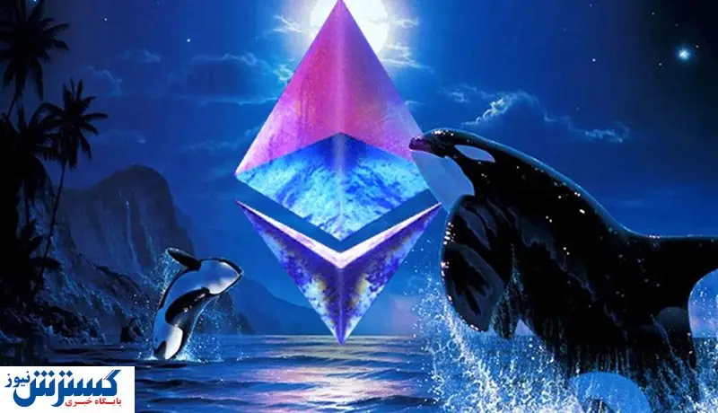 هشدار / زنگ خطر بازار ارزهای دیجیتال به صدا درآمد!