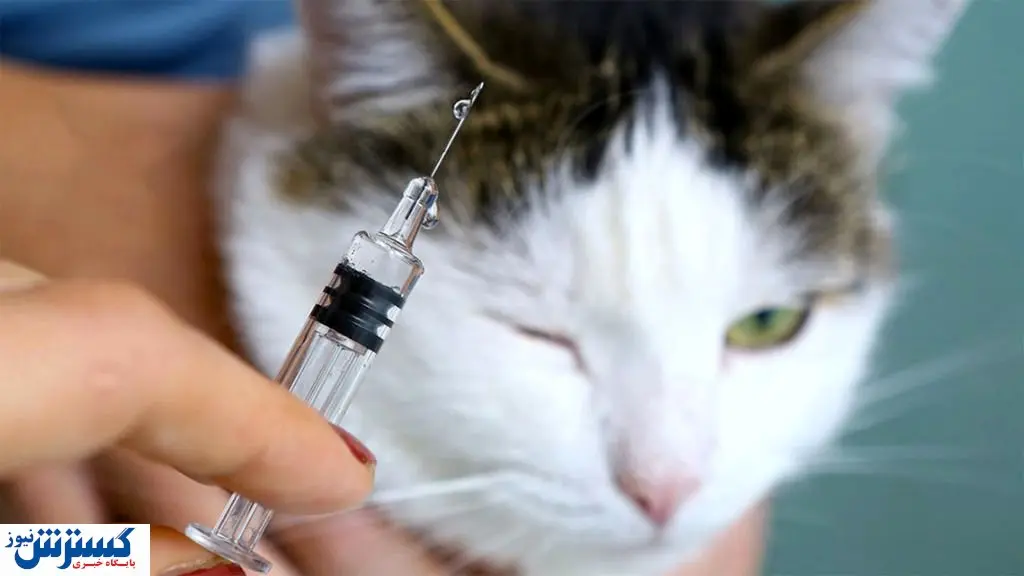 واکسن هاری در کدام مراکز سلامت وجود دارد؟