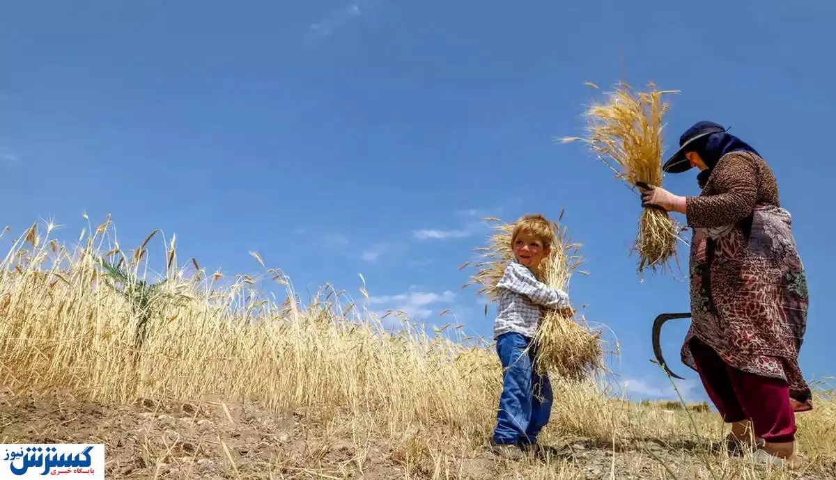 خبر مهم درباره مطالبات گندمکاران