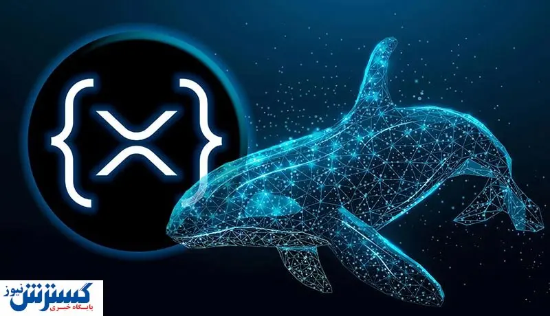 نهنگ‌های ریپل به انبار کردن ادامه می‌دهند / افزایش قیمت در راه است؟