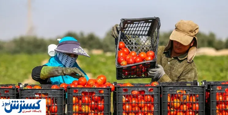 تجارت محصولات کشاورزی؛ نیازمند تنوع‌بخشی به بازارهای هدف