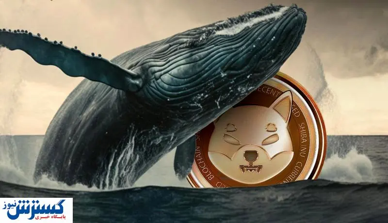 اتفاقی عجیب / جمع‌آوری ۳۳.۶ میلیون شیبا اینو توسط یک تریلیونر!