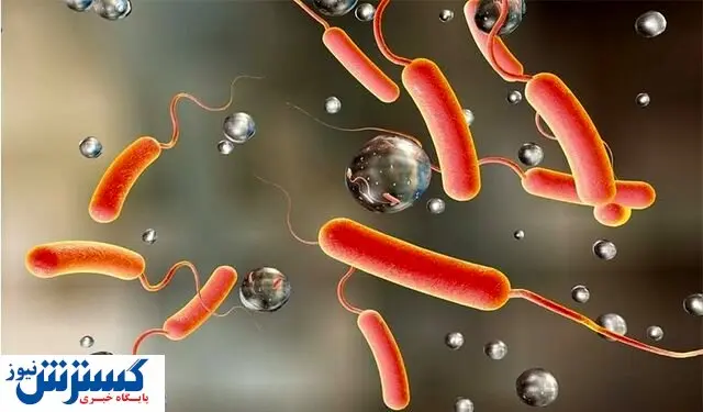 اولین بیمار وبا در کشور شناسایی شد