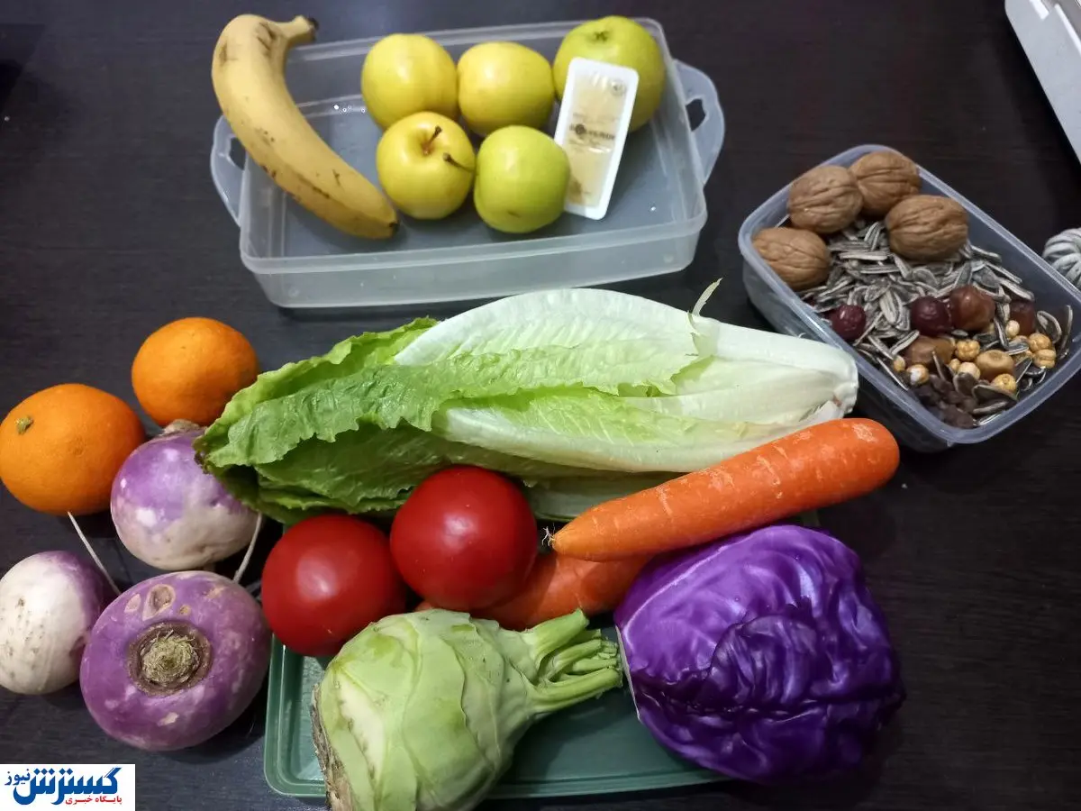 هزینه زندگی گیاه خواری/آسیب عجیب گیاه خواران به محیط زیست