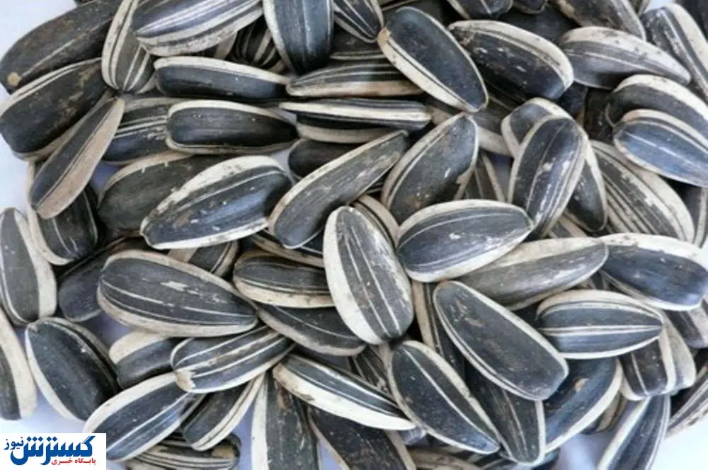 قیمت روز انواع تخمه در بازار + جدول