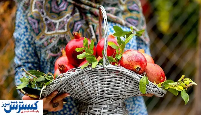 رونمایی از گواهینامه ثبت ملی جشن انار ساوه
