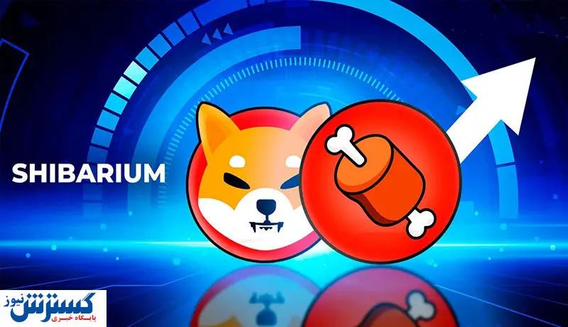 توکن BONE محبوب شد / رشد بی سابقه ۸۹۸ درصدی تراکنش‌ها