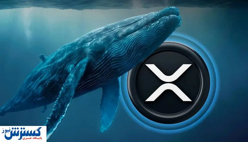 نهنگ ها در بازار ریپل ماندگار شدند / افزایش قیمت در راه است؟