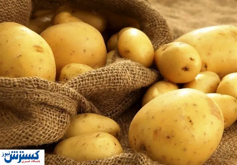 تضمین سلامتی آقایان با مصرف سیب زمینی