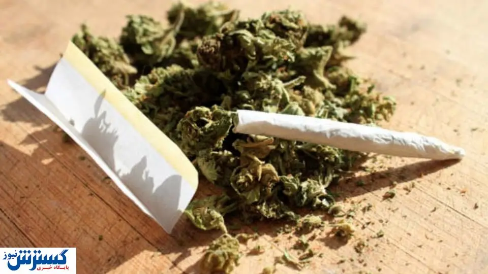 شیوع مصرف گل به ۱۵ ساله ها رسید!