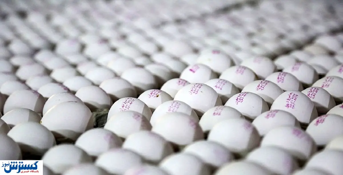 آخرین قیمت تخم مرغ در بازار