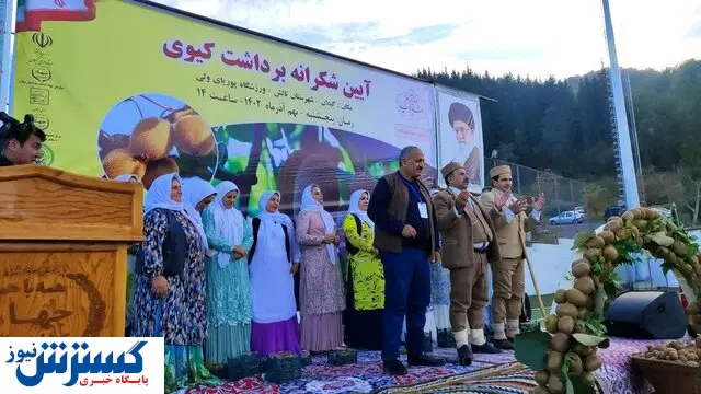 این استان پایتخت تولید کیوی در ایران است / برای ۳ هزار نفر اشتغالزایی شد