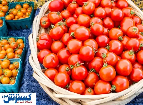 کاهش قیمت این محصول محبوب / بازار آماده یک تحول شد