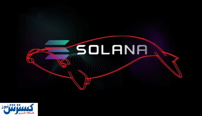 سولانا ۱۴ درصد رشد کرد: آیا نهنگهای داراییها خود را نقد میکنند؟