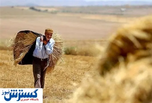 افت چشمگیر تولید بخش کشاورزی / تورم مواد غذایی چگونه سفرهها را خالی کرد؟