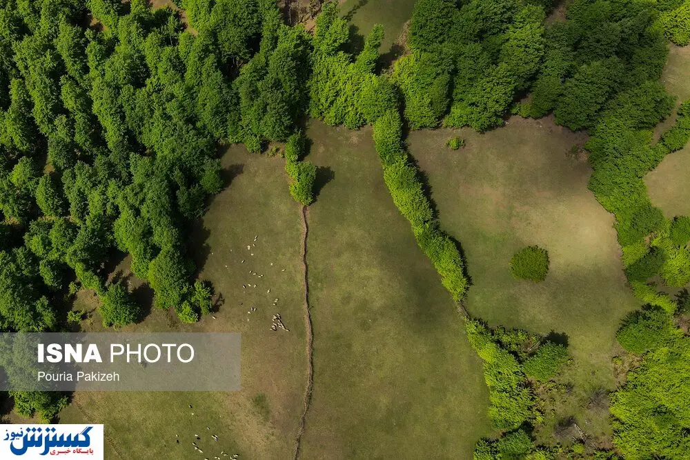 سرمایه گذاری ۹۴۰۰ میلیاردی صنعت گردشگری در این استان/ ۲۷۰ نفر در بخش خصوصی مشغول کار شدند