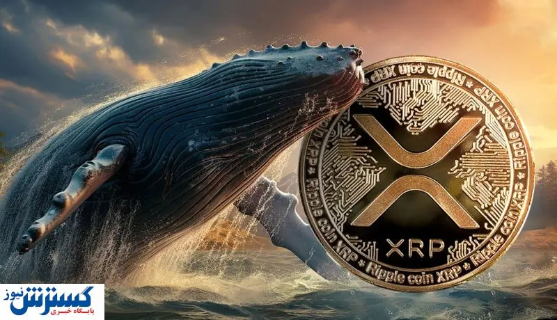 حمله نهنگ ها به ریپل / منتظر افزایش قیمت باشیم؟