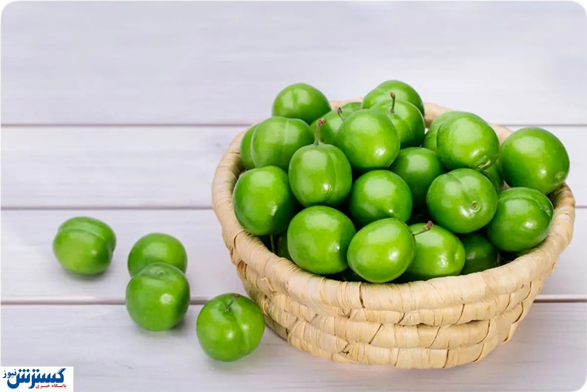 قیمت لاکچری گوجه سبز / ۵ عدد نیم میلیون تومان فروخته شد!