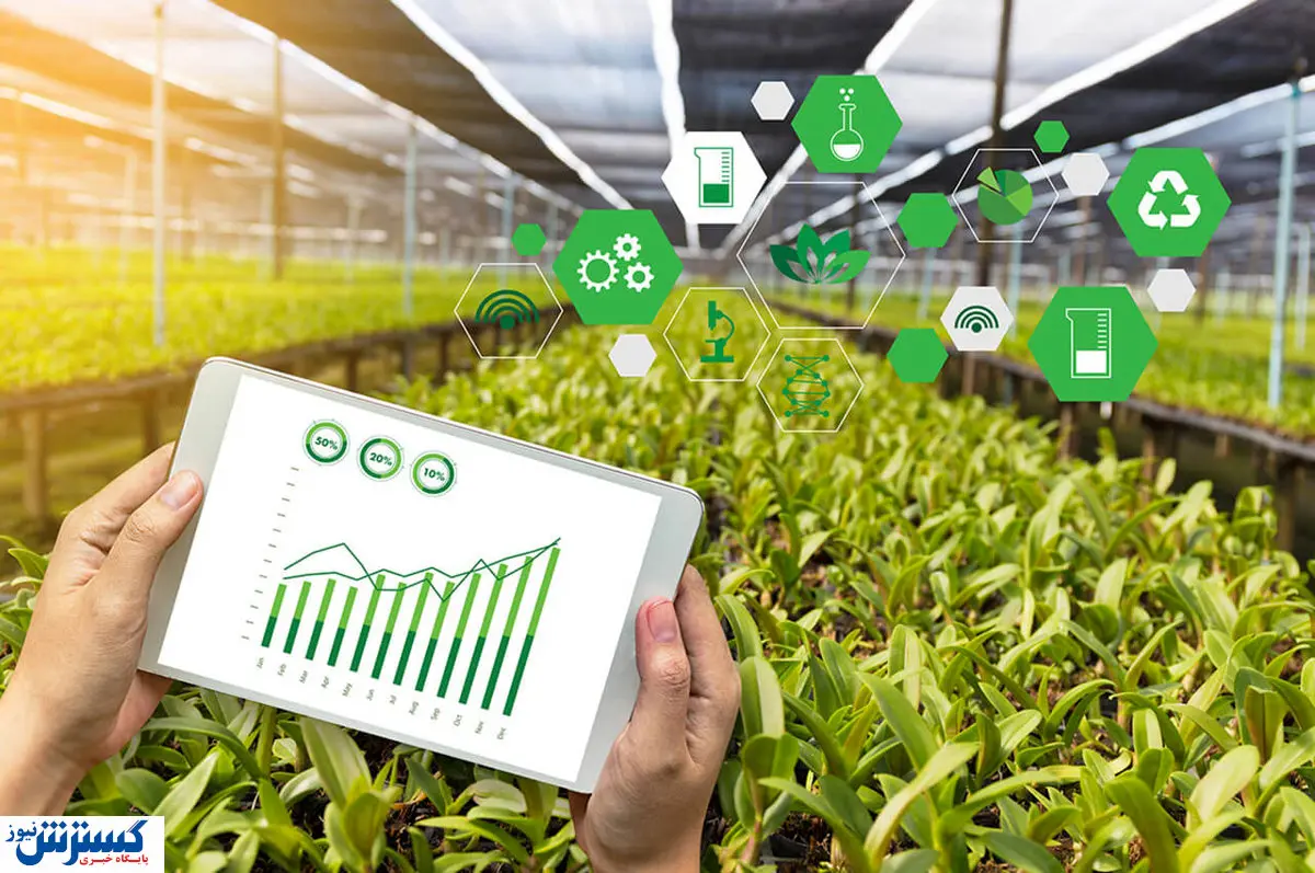 دلیل عقب ماندگی کشور در اقتصاد سبز / چه راهکاری وجود دارد؟