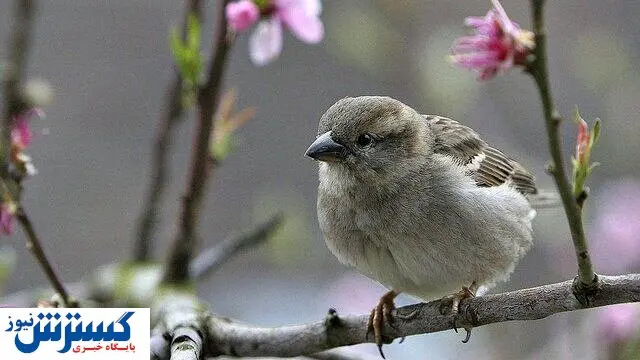 افزایش قیمت بلیت این مکان محبوب / شورای شهر مردم را شاکی کرد!