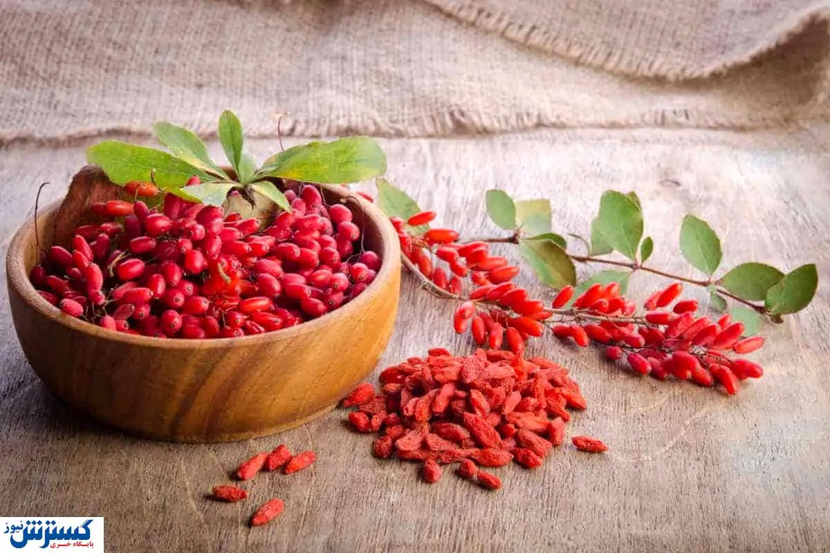 قیمت نجومی زرشک / هرکیلو ۱.۵ میلیون فروخته می شود!