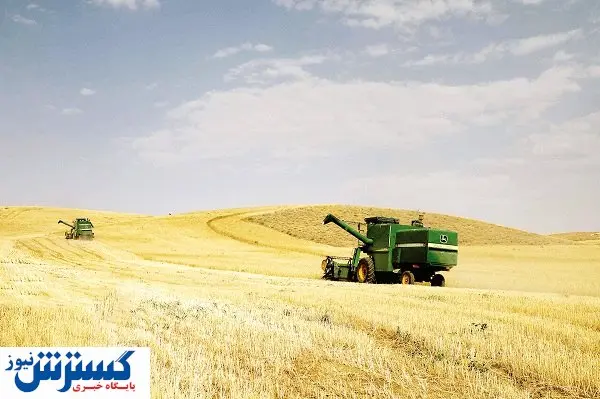 دلالان بازار را درو میکنند