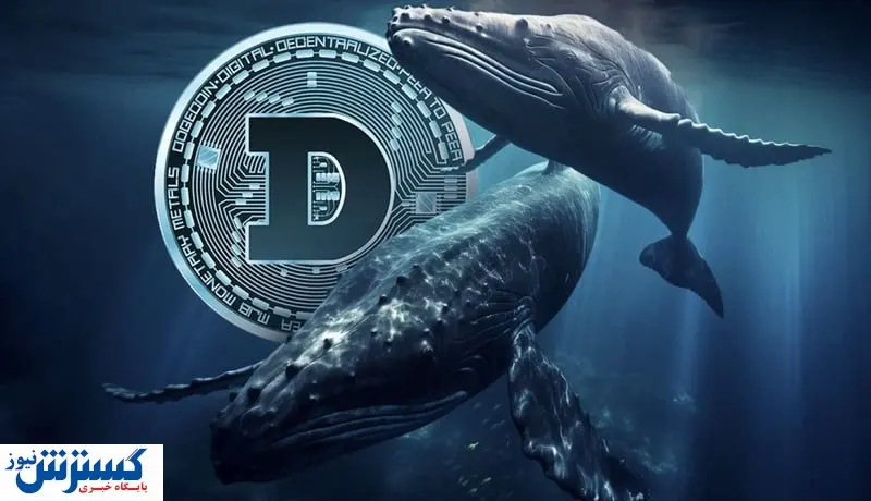 سیگنال جذاب ایلان ماسک برای سگ بازار کریپو / وقت خرید دوج کوین است؟