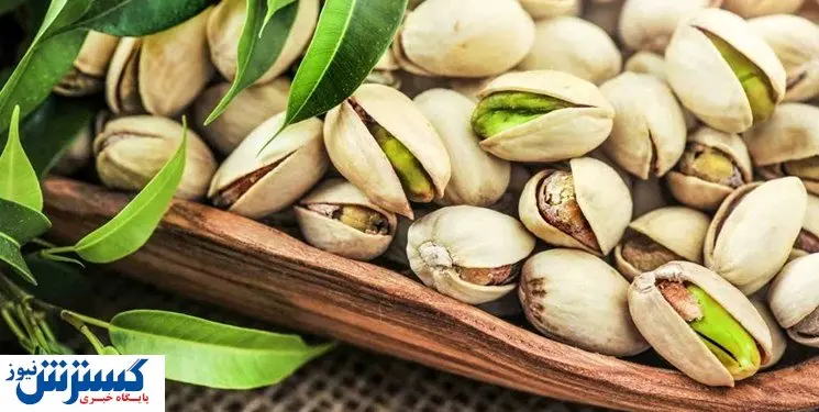 رتبه دوم ایران در تولید پسته / حجم صادرات چقدر است؟