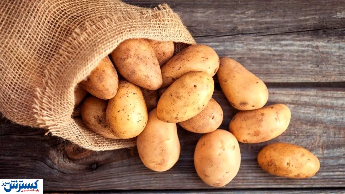 قیمت جدید سیب زمینی اعلام شد (۱۸ دی)